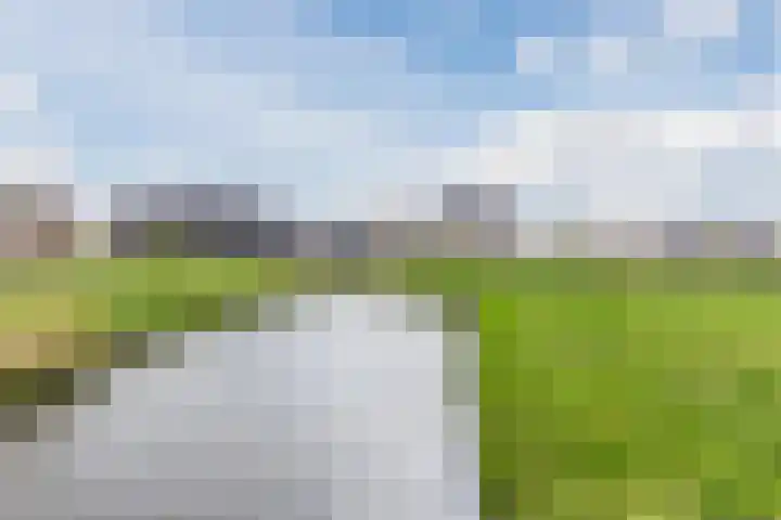 Ponte di Rialto 31 Purmerend thumbnail 51
