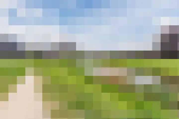 Ponte di Rialto 31 Purmerend thumbnail 52