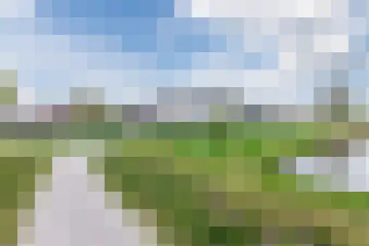 Ponte di Rialto 31 Purmerend thumbnail 53