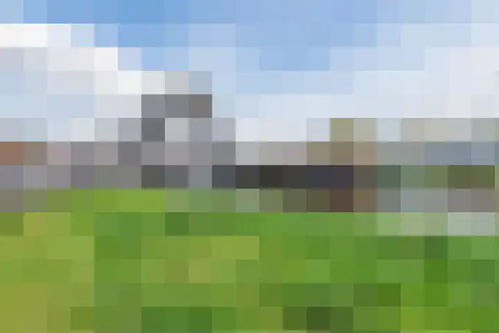 Ponte di Rialto 31 Purmerend thumbnail 55