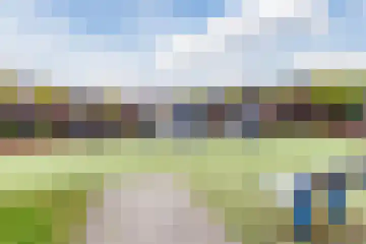Ponte di Rialto 31 Purmerend thumbnail 56