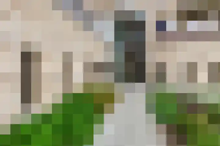Ponte di Rialto 31 Purmerend thumbnail 57