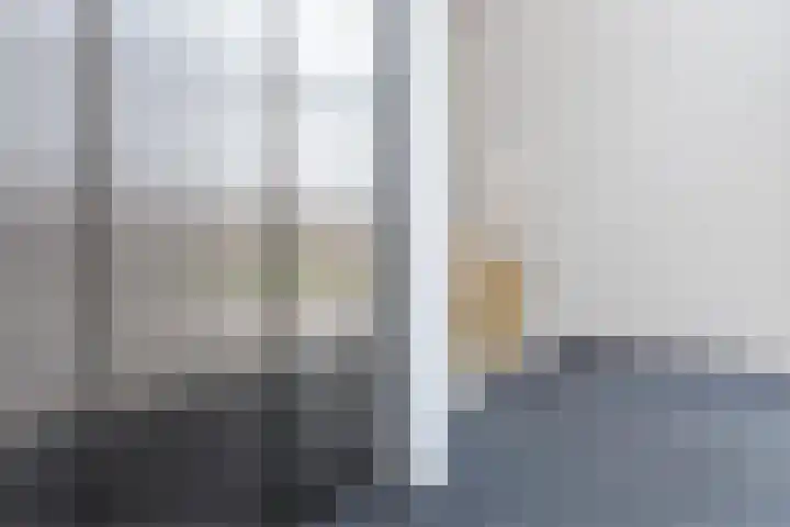 Ponte di Rialto 31 Purmerend thumbnail 7