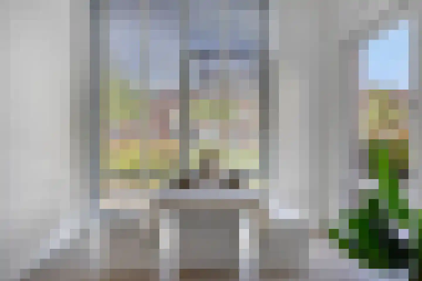 Ponte di Rialto 4 Purmerend thumbnail 10