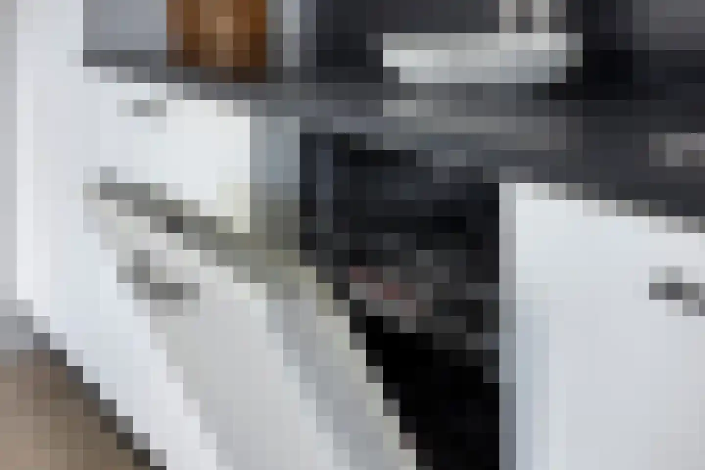 Ponte di Rialto 4 Purmerend thumbnail 14