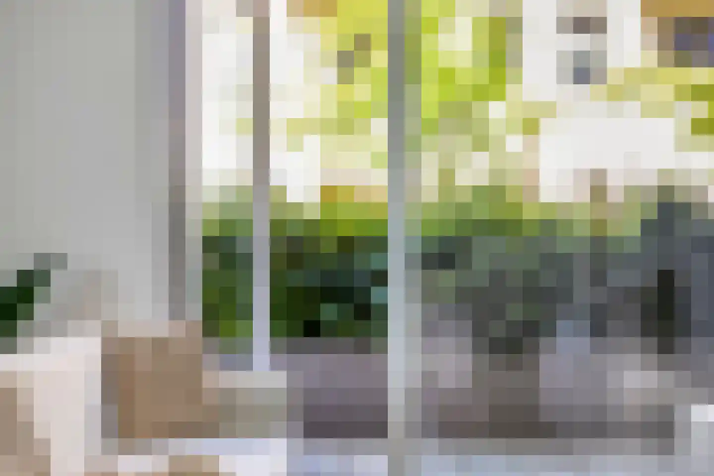 Ponte di Rialto 4 Purmerend thumbnail 17