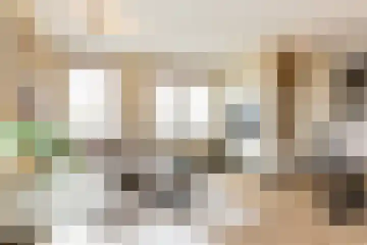 Ponte di Rialto 41 Purmerend thumbnail 20