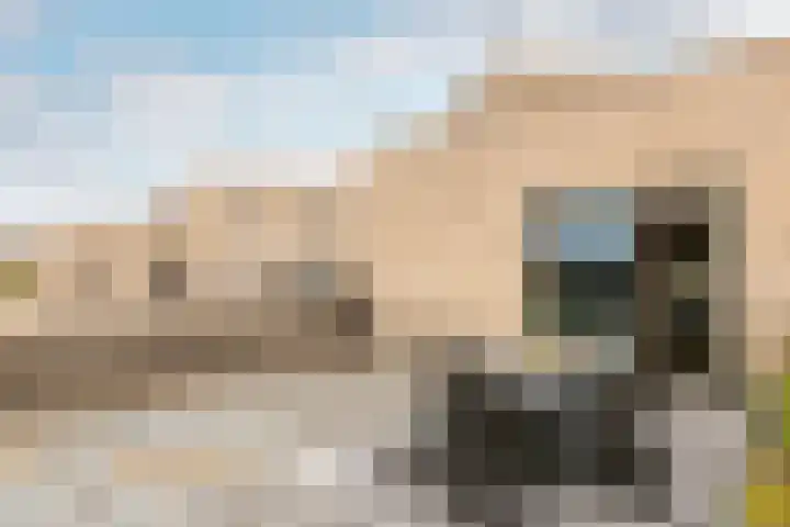 Ponte di Rialto 41 Purmerend thumbnail 38