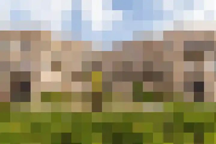 Ponte di Rialto 41 Purmerend thumbnail 45