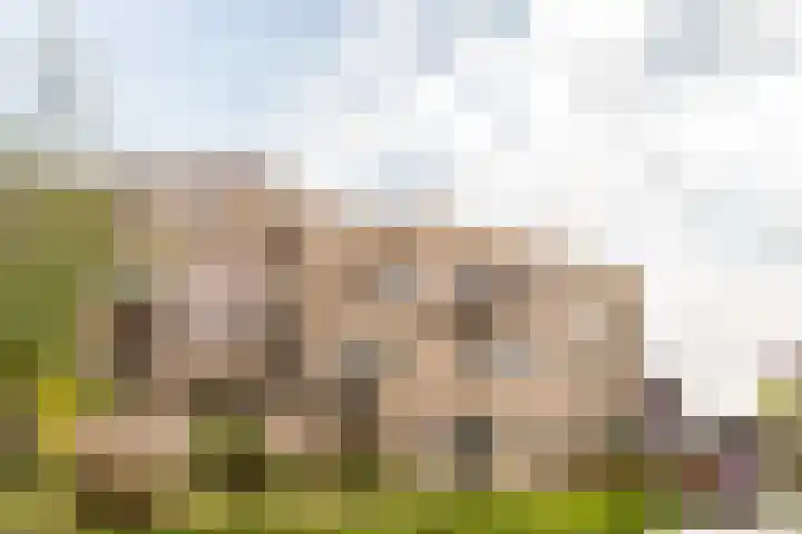 Ponte di Rialto 41 Purmerend thumbnail 5