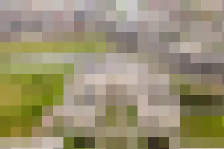 Ponte di Rialto 41 Purmerend thumbnail 53