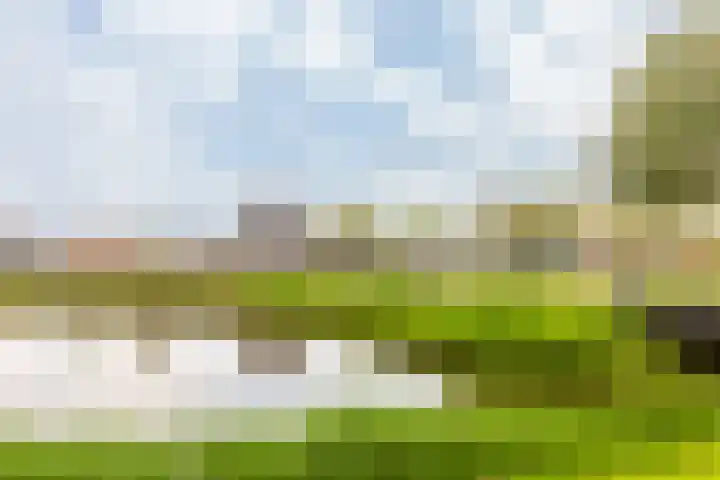 Ponte di Rialto 41 Purmerend thumbnail 56