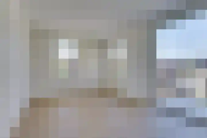 Ponte di Rialto 8 Purmerend thumbnail 11