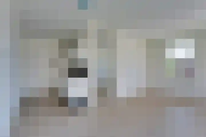 Ponte di Rialto 8 Purmerend thumbnail 14