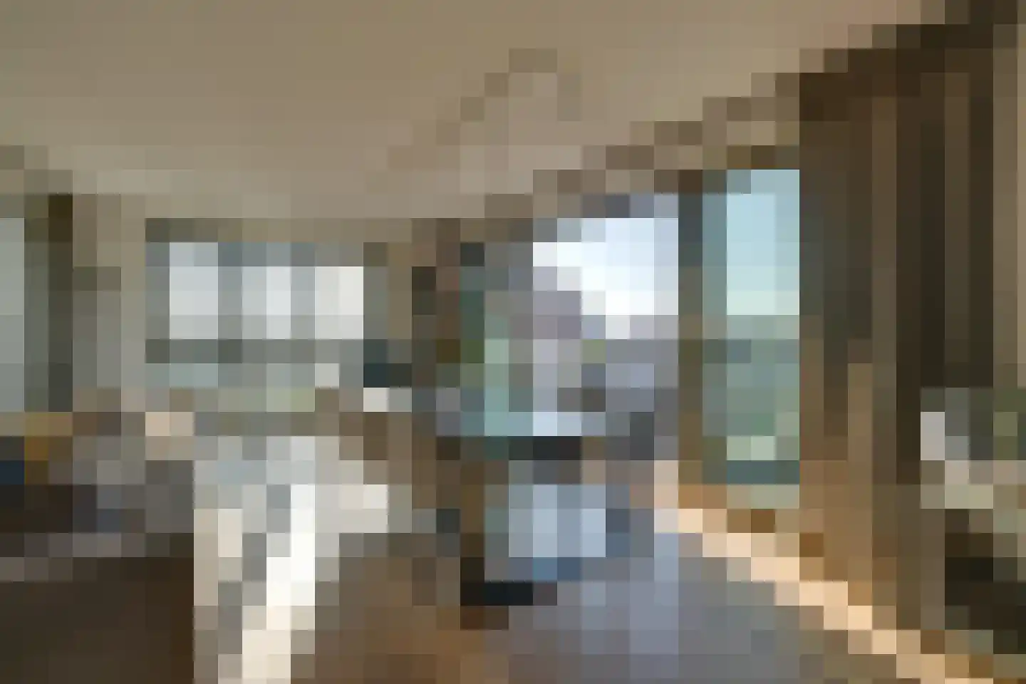 Ponte Vecchio 19 Purmerend thumbnail 14