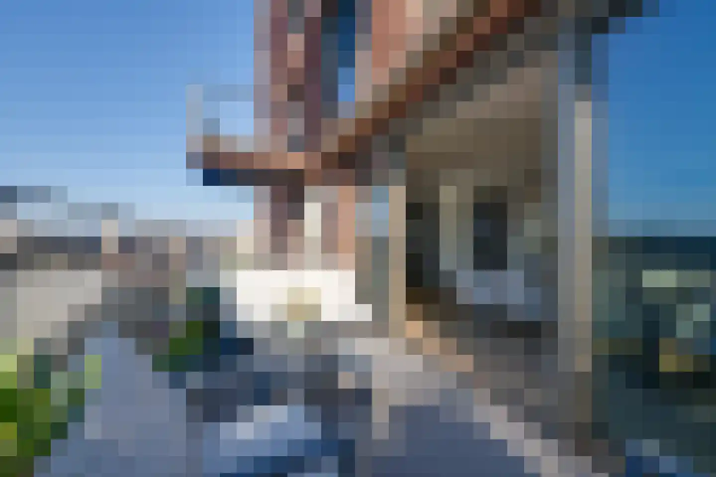 Ponte Vecchio 19 Purmerend thumbnail 25