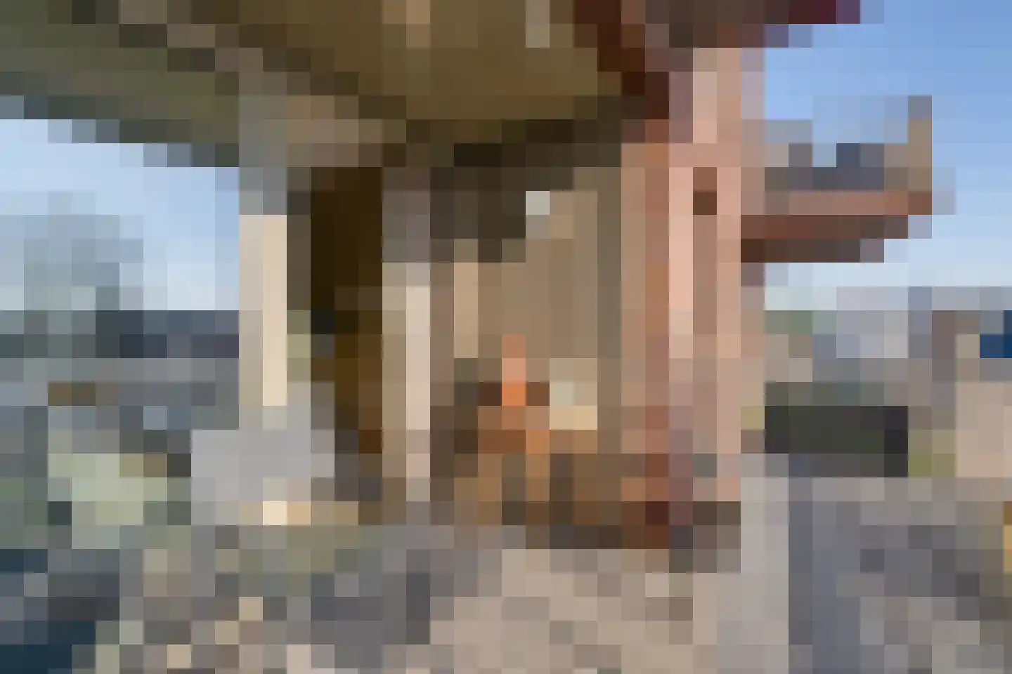 Ponte Vecchio 19 Purmerend thumbnail 29