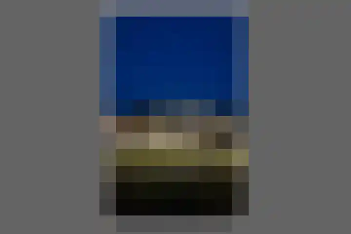 Ponte Vecchio 23 Purmerend thumbnail 19