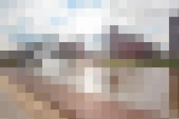 Ponte Vecchio 23 Purmerend thumbnail 44