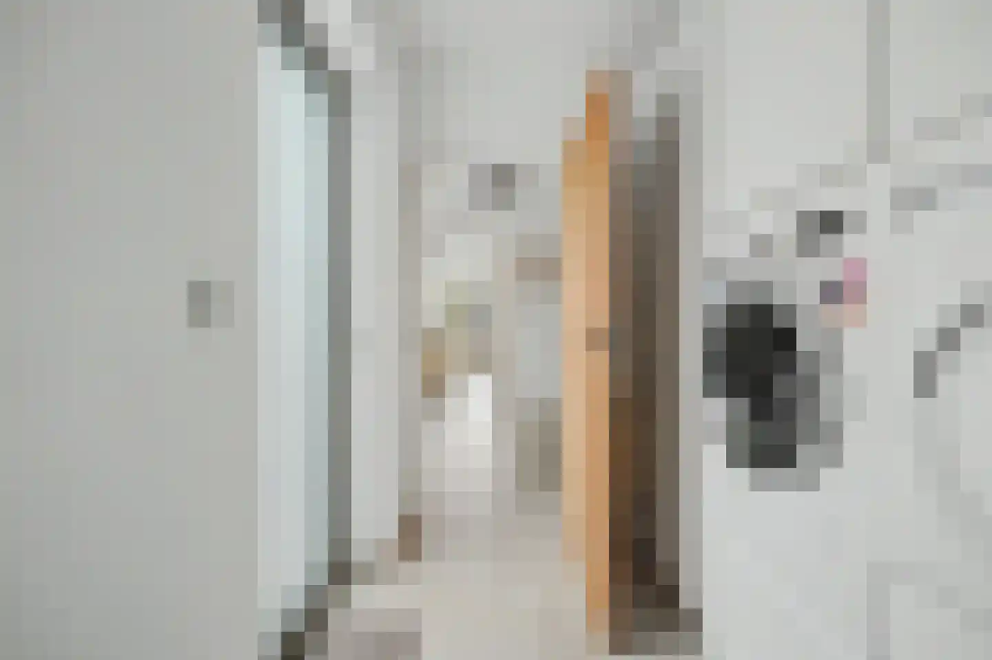 Pontiaanstraat 6 Rilland thumbnail 17