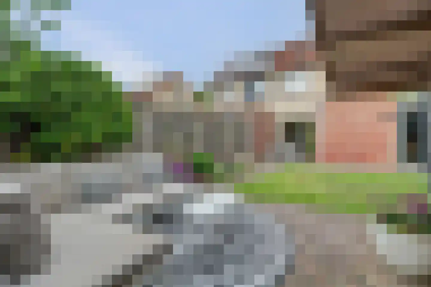 Pontiaanstraat 6 Rilland thumbnail 33