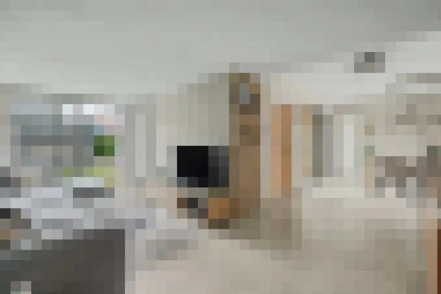 Pontiaanstraat 6 Rilland thumbnail 7