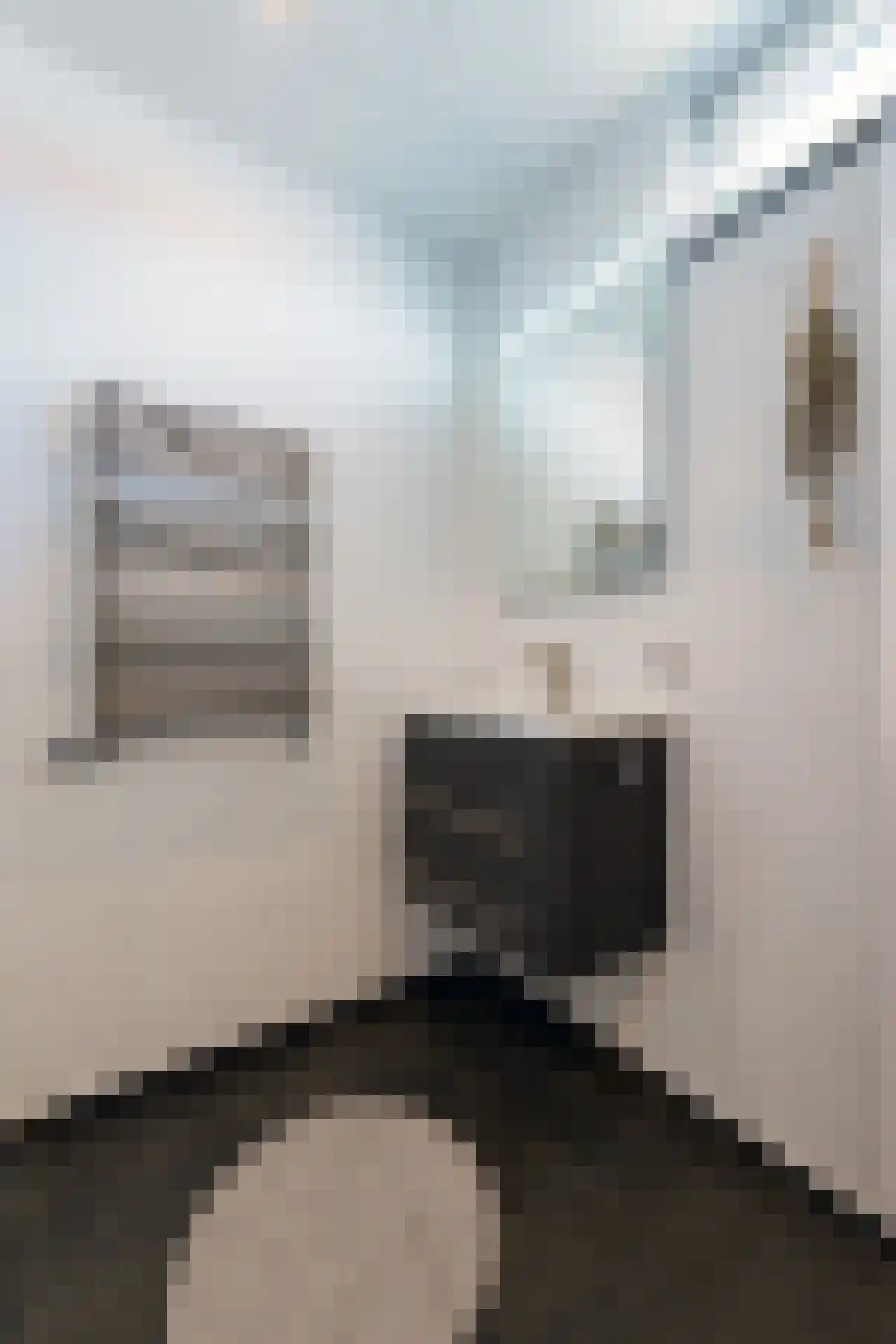 Pontoisestraat 6 Geleen thumbnail 26