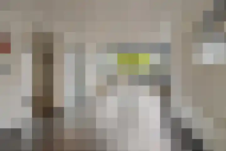 Pontonniersweg 124 Papendrecht thumbnail 10
