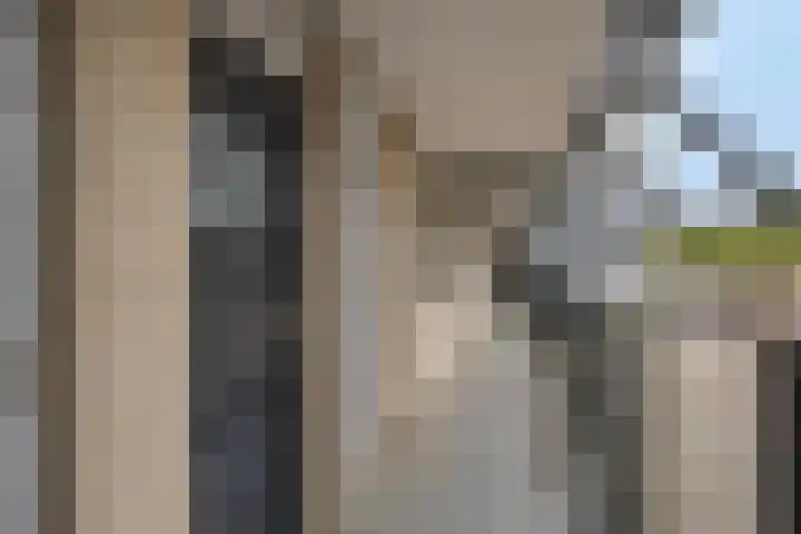 Pontonniersweg 124 Papendrecht thumbnail 12