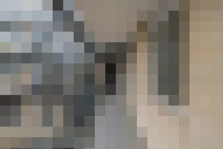 Pontonniersweg 124 Papendrecht thumbnail 13
