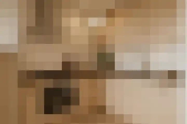 Pontonniersweg 124 Papendrecht thumbnail 19