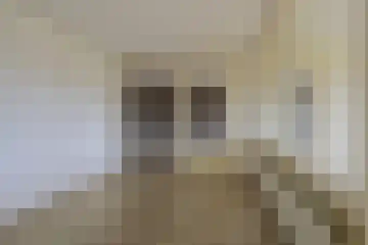 Pontonniersweg 124 Papendrecht thumbnail 22