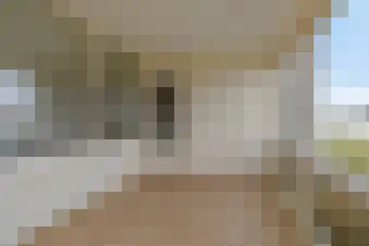 Pontonniersweg 124 Papendrecht thumbnail 24