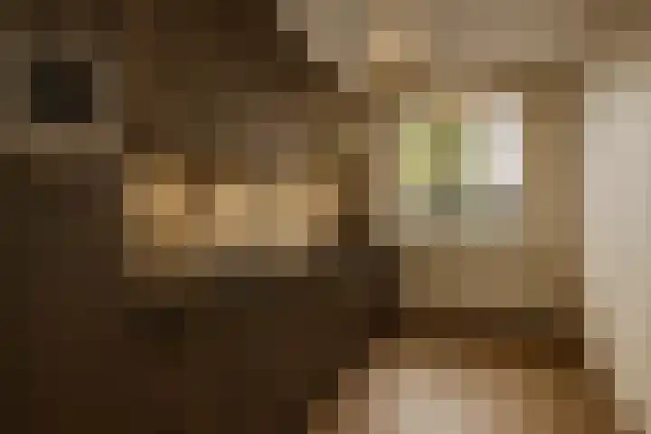 Pontonniersweg 128 Papendrecht thumbnail 6