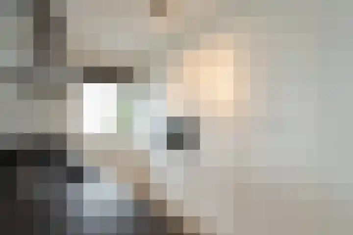 Pontonniersweg 340 Papendrecht thumbnail 16