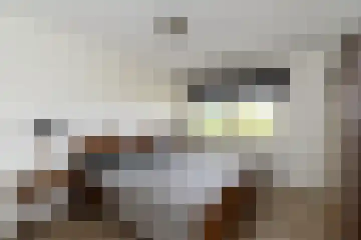 Pontonniersweg 340 Papendrecht thumbnail 19