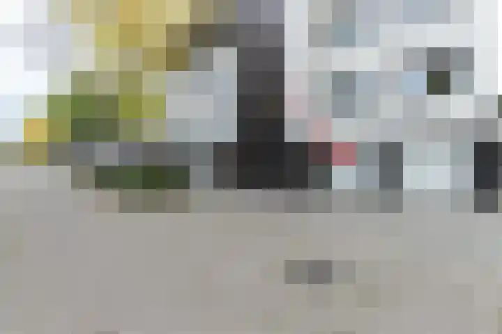 Pontonniersweg 340 Papendrecht thumbnail 28