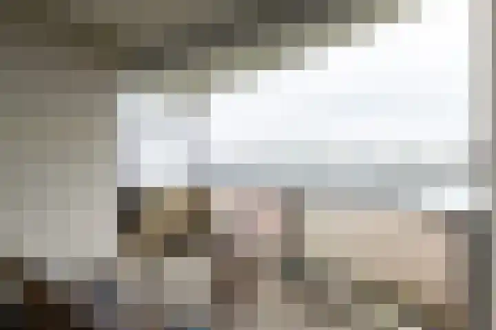 Pontonniersweg 340 Papendrecht thumbnail 4