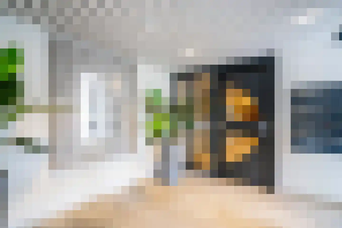 Pontonniersweg 387 Papendrecht thumbnail 6