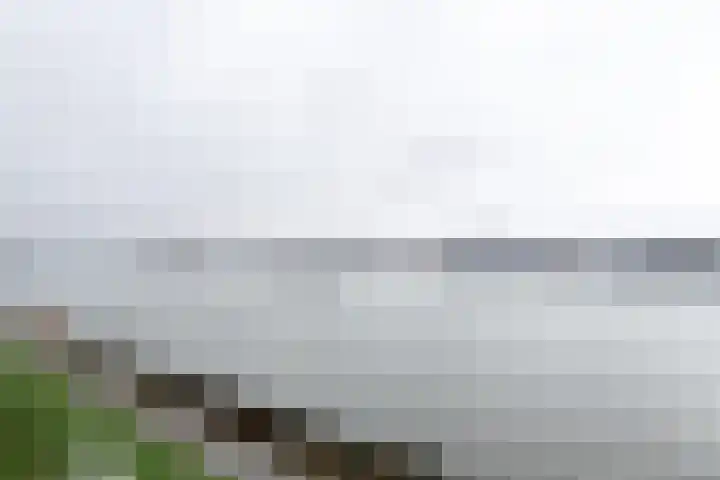 Pontonniersweg 397 Papendrecht thumbnail 18