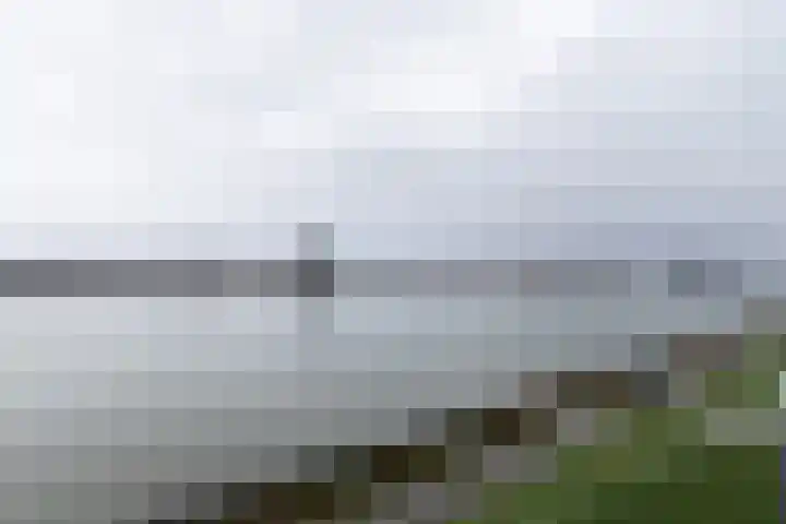 Pontonniersweg 397 Papendrecht thumbnail 19
