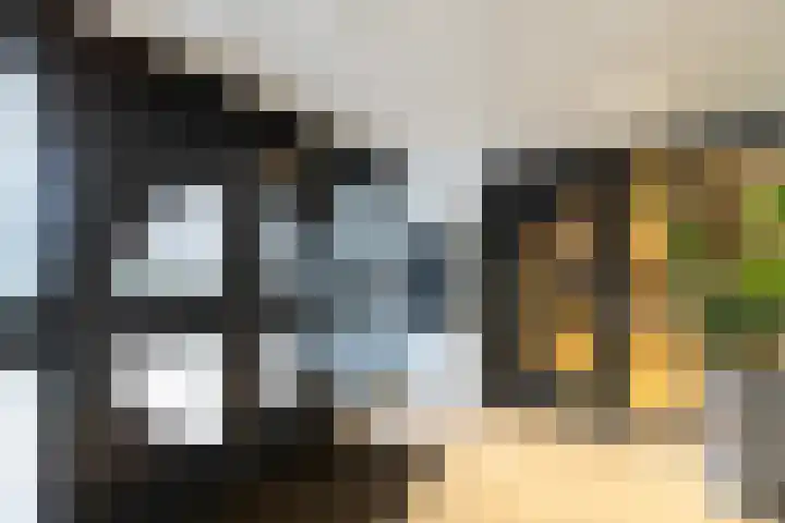 Pontonniersweg 397 Papendrecht thumbnail 7