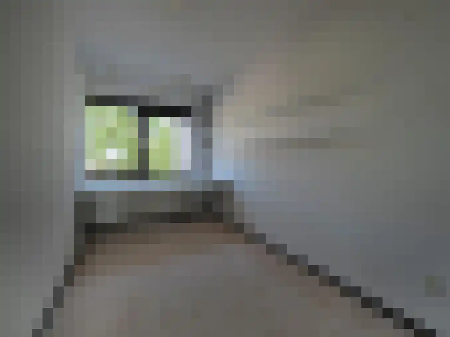 Pontonniersweg 416 Papendrecht thumbnail 31
