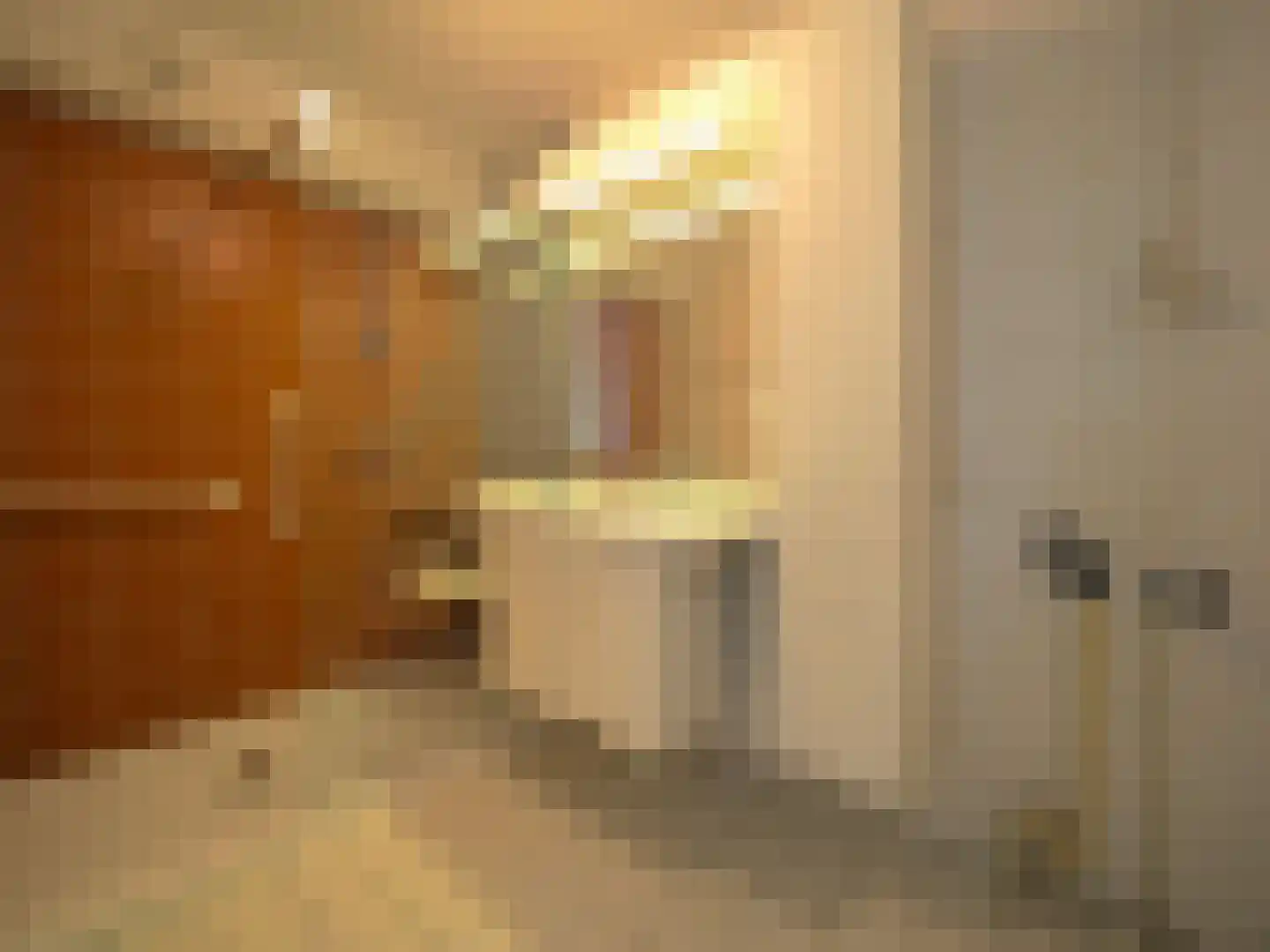 Pontonniersweg 416 Papendrecht thumbnail 33
