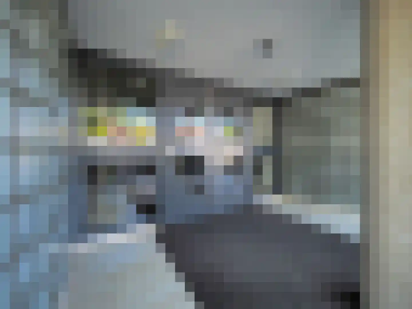 Pontonniersweg 416 Papendrecht thumbnail 8