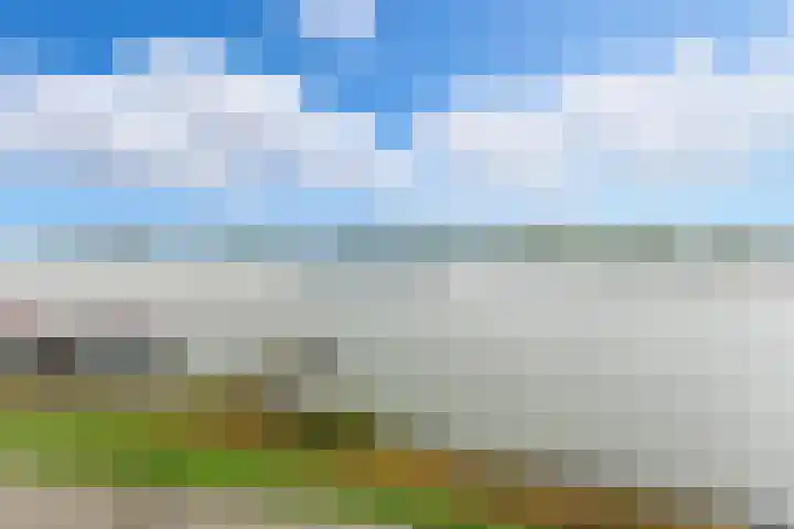 Pontonniersweg 438 Papendrecht thumbnail 10