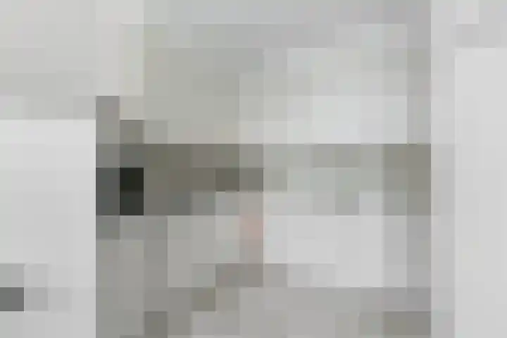 Pontonniersweg 438 Papendrecht thumbnail 19