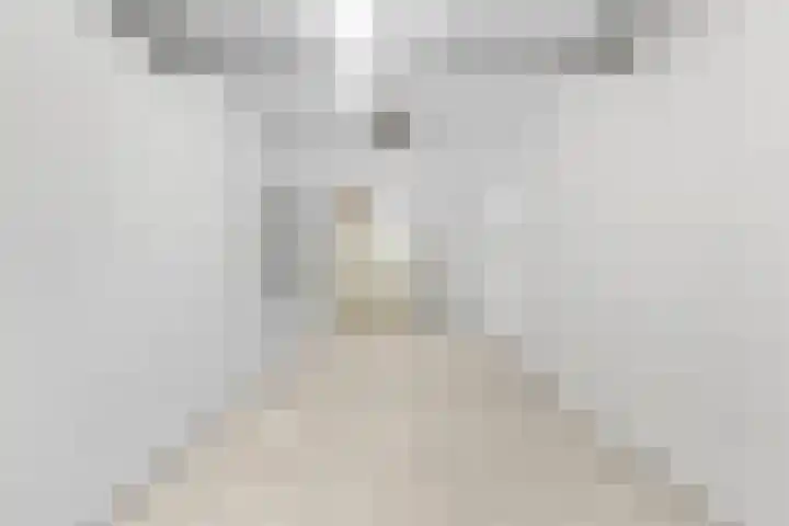 Pontonniersweg 438 Papendrecht thumbnail 35