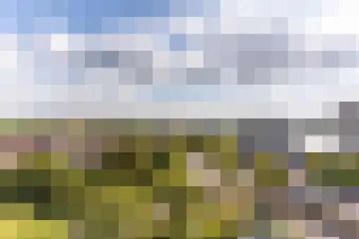 Pontonniersweg 74 Papendrecht thumbnail 31