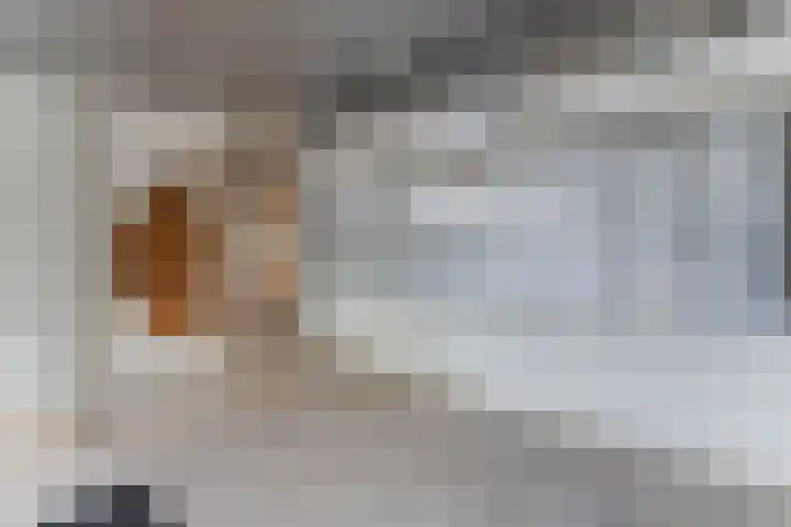 Pontonniersweg 74 Papendrecht thumbnail 7